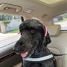 SoozInTX profil fotoğrafı