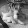 PeachyKeen 76 profil fotoğrafı