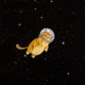 PHAMINO's profile picture