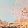ほたて's profile picture