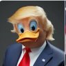 Фото профиля Donald
