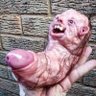 huren embryo's profile picture