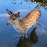ニャッキ profil fotoğrafı