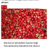 kirazlı profil fotoğrafı