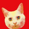 猫 profil fotoğrafı