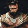 Фото профиля WOLVERINE PATRIOT ! 🇧🇷🇺🇸🇮🇱