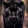 Paulus Panther profil fotoğrafı