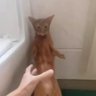aya🧡💛🤍🩷❤️ profil fotoğrafı
