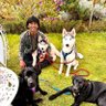 The BIG B WOLF 的头像