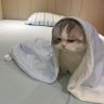 Profilbild von 今天也没钱