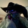 EDGARDO BURGOS's profile picture