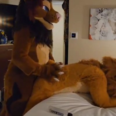 MurrsuitSex's profile picture