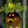 Profilbild von Eli