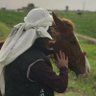 Abdullah || عَبْدُالله profil fotoğrafı