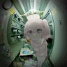 niuniu 的头像