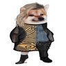Bencla Fella™ - Toonie Tuesday™ supporter - #NAFO profil fotoğrafı