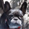 Javier's profile picture