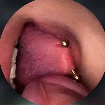 TheyLuvXavv's profile picture