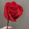 Yuyapecas's profile picture