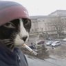 Фото профиля beer baron
