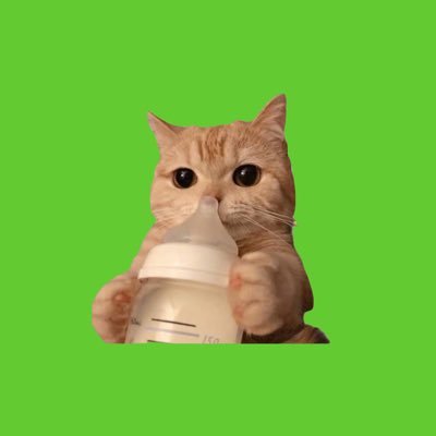 beampichaya1's profile picture