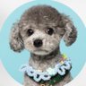 xiuxixiuxi【黄美英】's profile picture