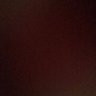 Rani's profile picture