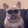 Profilbild von SteveBoehner