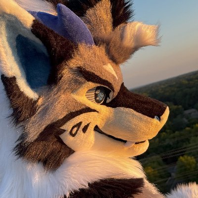 Denali 🔜 FWA's profile picture