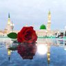 Momin افغان's profile picture