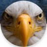 Neverever profil fotoğrafı
