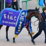 趣味日記 的头像