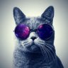 AHMED HAFEZ 🔻's profile picture