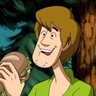 shaggy 的头像