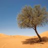 Фото профиля alkhaldy