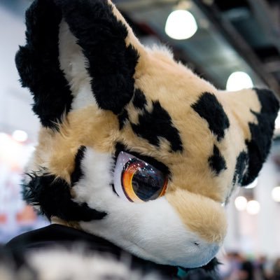 Rui银狼's profile picture
