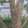 AI_twister 的头像