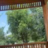 Фото профиля Magool