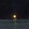 Star of the sea⭐️🌊 profil fotoğrafı