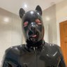 Pup Jaw 🏳️🌈🏳️⚧️🇬🇧🇺🇦's profile picture