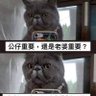 Фото профиля 晒