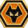 wolvesplayhowlingfootball's profile picture