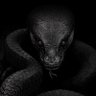 Фото профиля ONLY BLACK !