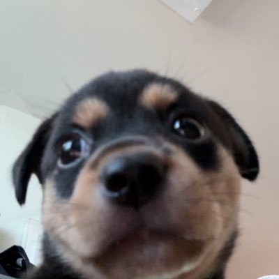 간장이's profile picture