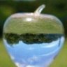 Profilbild von 口レりんごっぽい人。🍎®️