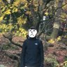 Profilbild von でん 🐶🇹🇼
