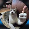 Profilbild von centauro 97