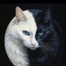 black cappucino 的头像