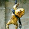 Фото профиля hussein