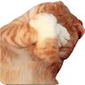 ★♪𝔅𝔲𝔫𝔫𝔦𝔢♪★ profil fotoğrafı